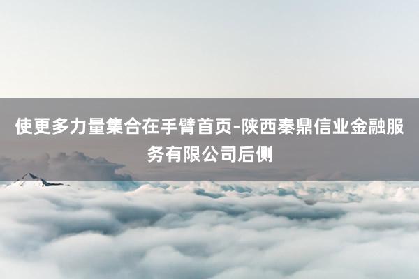 使更多力量集合在手臂首页-陕西秦鼎信业金融服务有限公司后侧