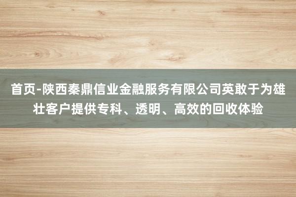 首页-陕西秦鼎信业金融服务有限公司英敢于为雄壮客户提供专科、透明、高效的回收体验